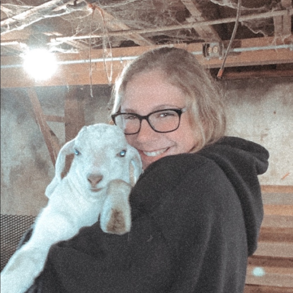 Meet your Posher, Ava